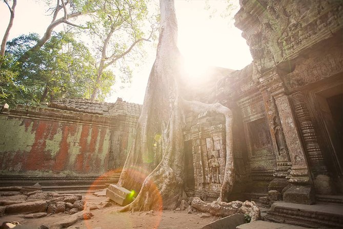 Temples of Angkor in Deep Private Tour - Ta Prohm Adventure
