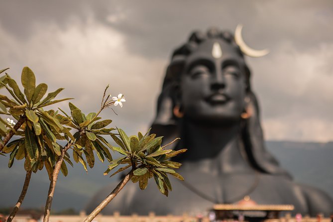 The Best of Coimbatore Walking Tour - Meeting Point Details