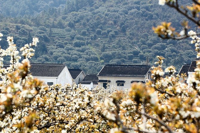 The Best of Suzhou Walking Tour - Stroll Through Picturesque Gardens