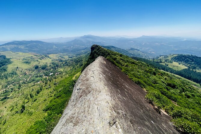The Birdwatchers Quest Through Hanthana Mountain Range – Kandy - Frequently Asked Questions