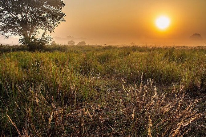 The Jungle Book Trip (The Sundorbon Forest of Bangladesh) - Wildlife Encounters