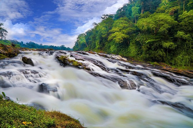 Thrilling Athirapilly: Day Trip From Kochi - Itinerary