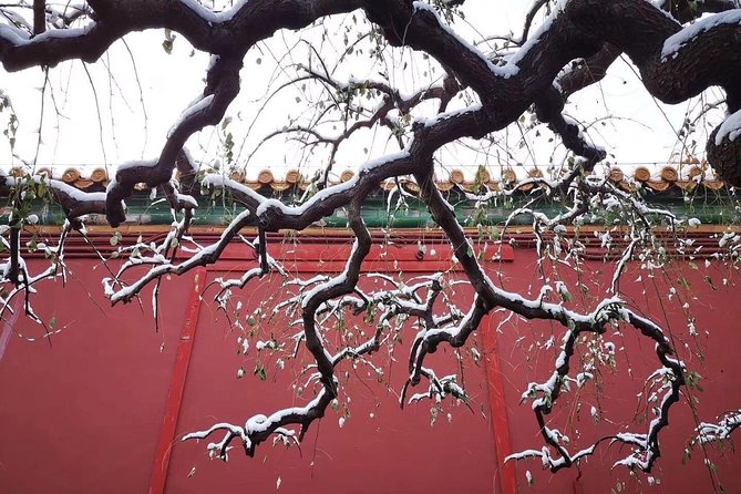 Tiananmen Square and Forbidden City Layover Tour From Beijing Airport - Additional Information