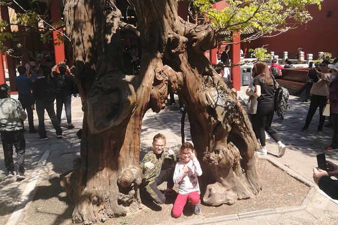 Tianjin Cruise Port To/From Beijing - Two Day Tour Including the Great Wall - Pickup Information and Expectations