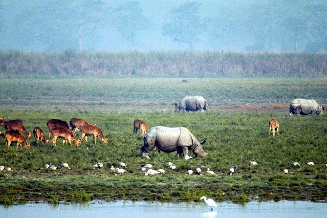 Tiger Reserve and Tribal Village - Cultural Immersion in Tribal Village