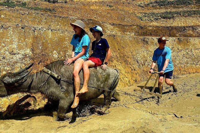 Transfer to or From Sapa in a Sleeper Bus From Hanoi - Pickup Information and Options