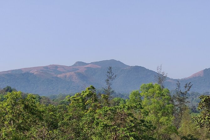 Trek the Kodachadri Summit - Inclusions and Group Size