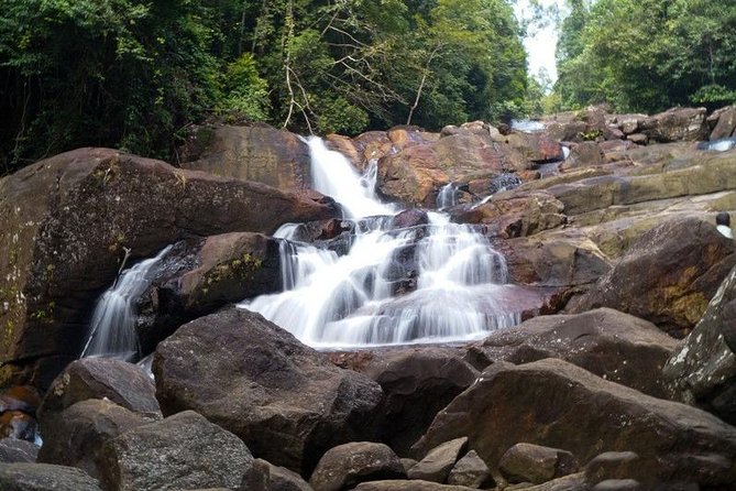 Trekking and Bird Watching in Kanneliya Rain Forest - Guided Exploration