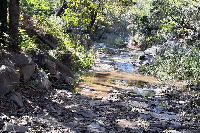 Trekking in Kumbhalgarh - Booking Details and Pricing