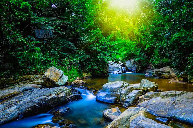 Trekking in Sinharaja Rainforest - Inclusions and Exclusions