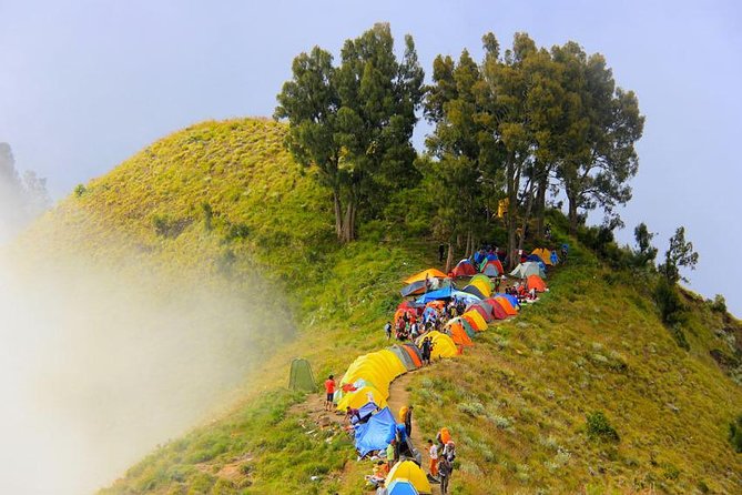 Trekking Rinjani 2 Days To Rim and Summit Via Sembalun Trail - Itinerary Highlights