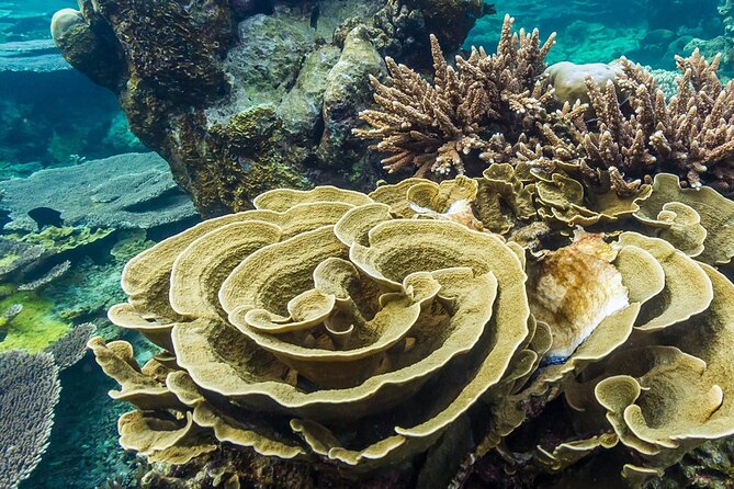 Trinco Tour a - Snorkeling & Island Hopping Tour - Directions