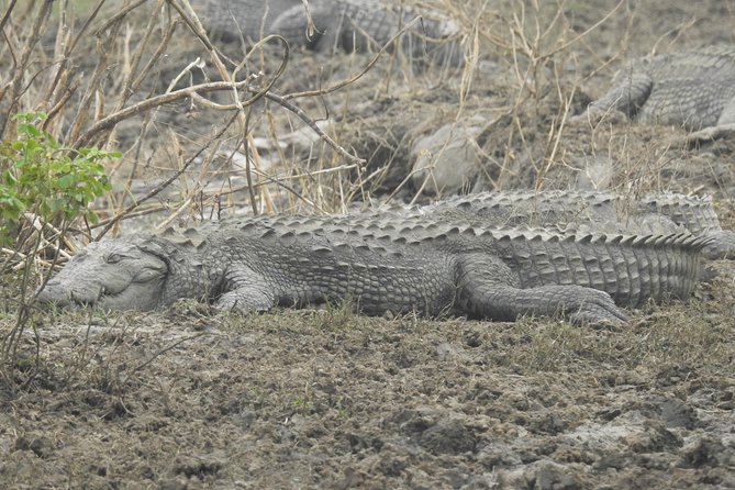 Two Day Yala National Park Tour - Inclusions