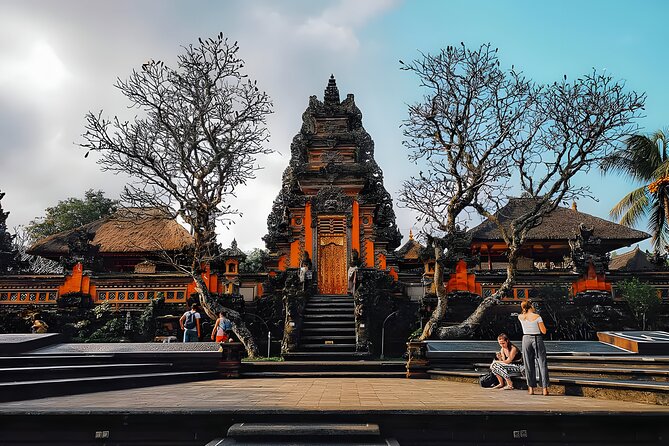 Ubud and Waterfall Half Day Tour Packages - Inclusions