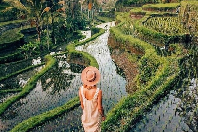 Ubud Explorer Private Day Tour - Reviews