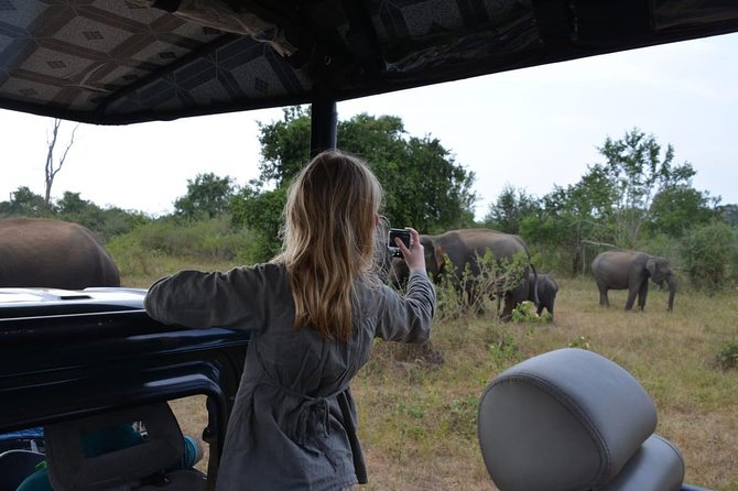 Udawalawe National Park Half Day Game Drive - Inclusions and Exclusions