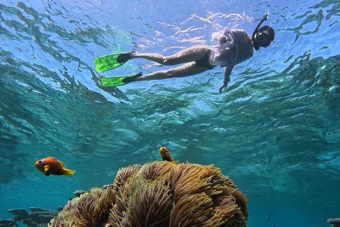 Ukulhas Tour A - 3 Points Snorkeling Tour - Marine Life Encounter