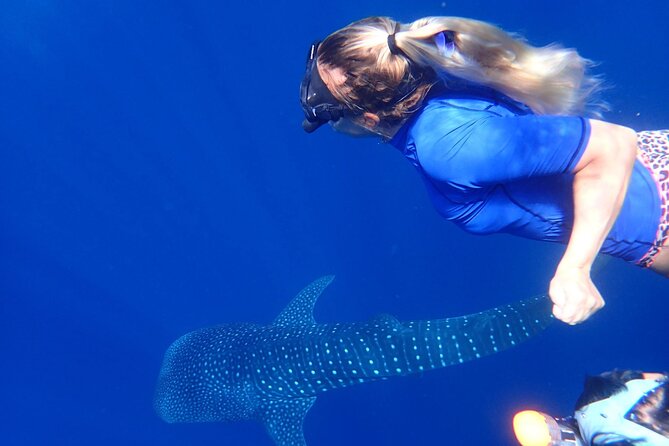 Ukulhas Tour D - Whale Shark Snorkeling & Coral Garden Tour - Inclusions