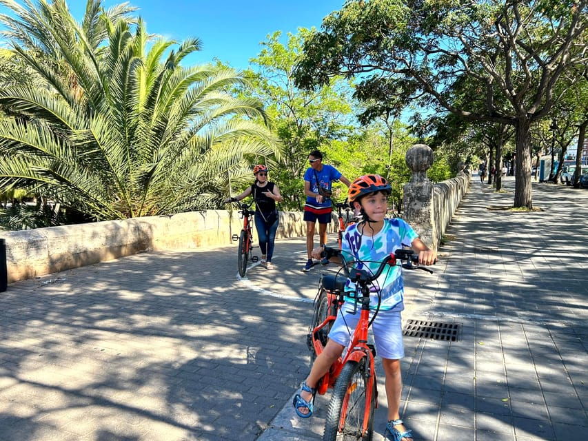 Valencia: Highlights 2.5-Hour City Tour by E-Bike With Guide