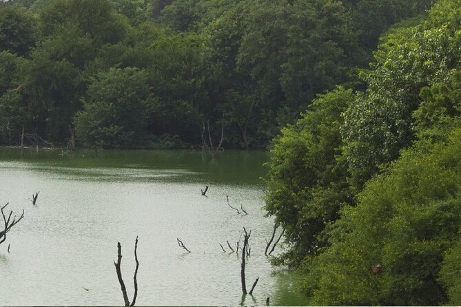 Visit to Hauz Khas Village - Delhi - Local Guide Details