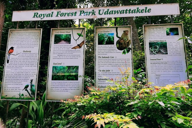 Walk Through Udawatta Kele Sanctuary With Guide - Meeting Point Details