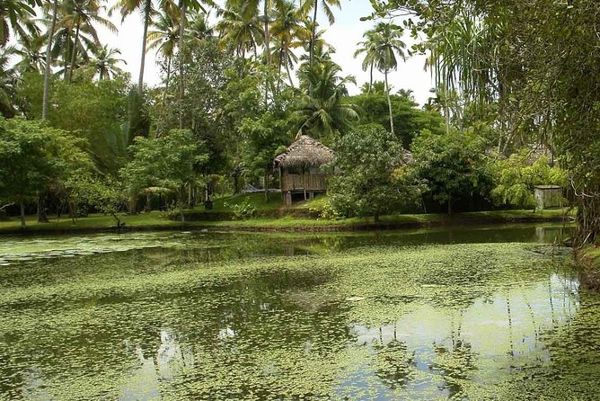 Weekend to Marari and Cochin - Cochin Heritage Tour
