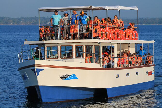 Whale Watching Boat Tour From Talpe - Pickup Points