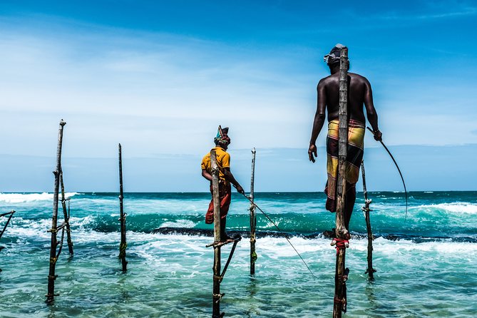 Wild-Life Tour Of Sri Lanka - 10 Days - Accommodation Details