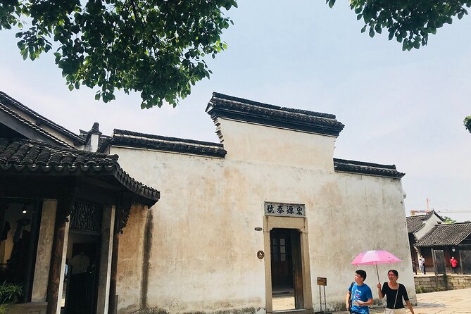 Wuzhen Water Town Day Tour From Hangzhou - Itinerary Overview