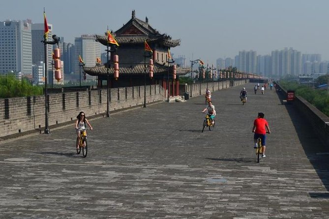 Xian Private Day Tour of Terracotta Warriors, City Wall, Muslim Street - Itinerary Details