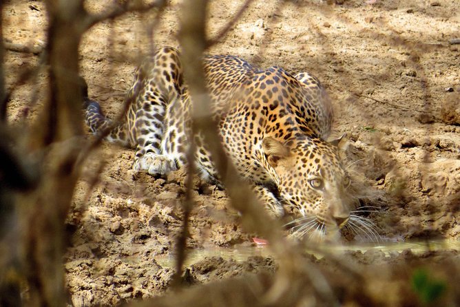 Yala National Park Safari From Unawatuna - Exclusions From the Tour Package