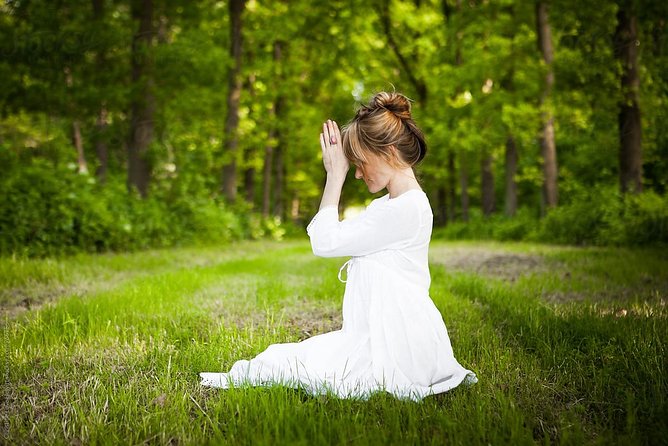 Yoga and Meditation Tour at Delhi on Private Basis - Inclusions and Exclusions