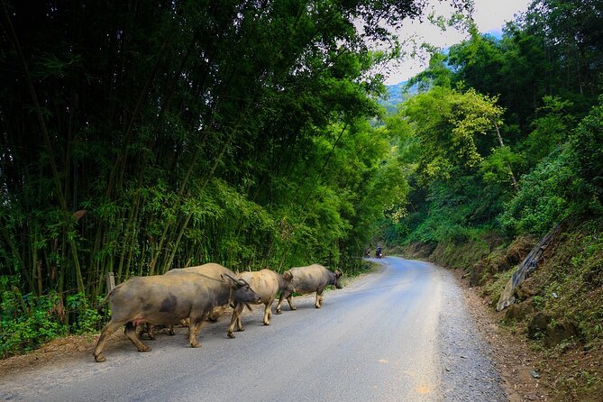 3 Days Sapa Trekking - Homestay & Hotel - Itinerary Highlights