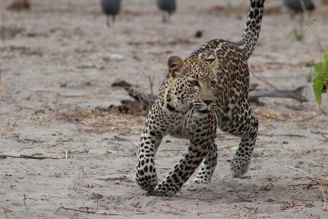 03 Days Sri Lanka Tour - Wild Life Hotspots - Accommodation and Amenities