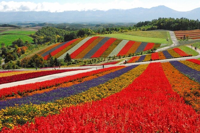 1 Day Fascinating Asahidake and Biei Discovery Tour in Hokkaido - The Sum Up