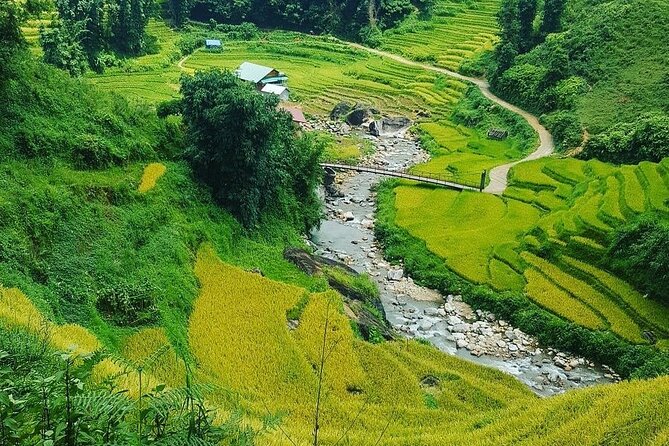 1 Day Private Sapa Motorbike Tour Off the Beaten Track - Safety Precautions and Guidelines