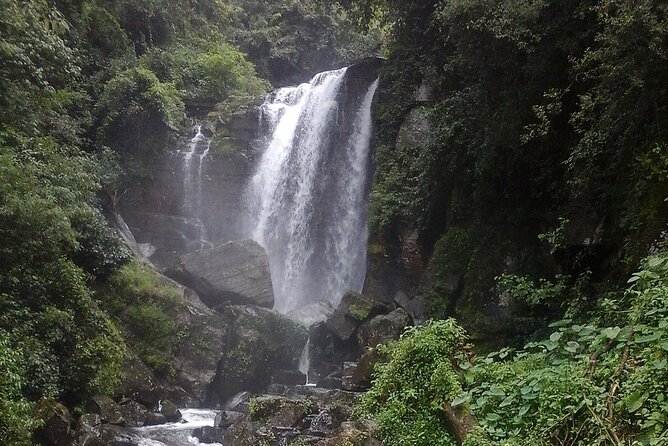 1 Day Tour of Nuwara Eliya - Private Tour From Kandy - Inclusions and Exclusions