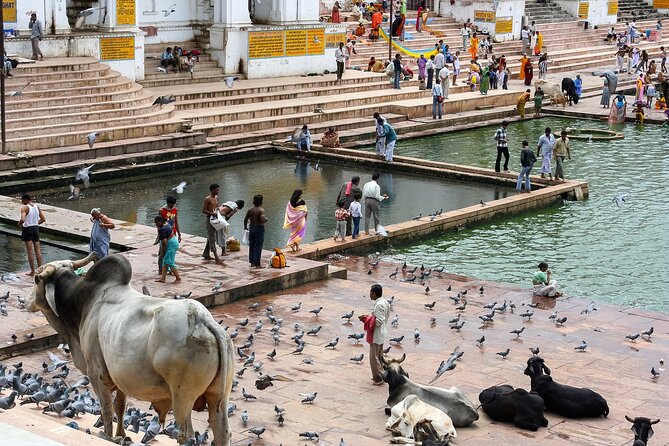 10-Days Jaipur, Udaipur, Mount Abu, Jodhpur & Jaisalmer Tour - Activity Options