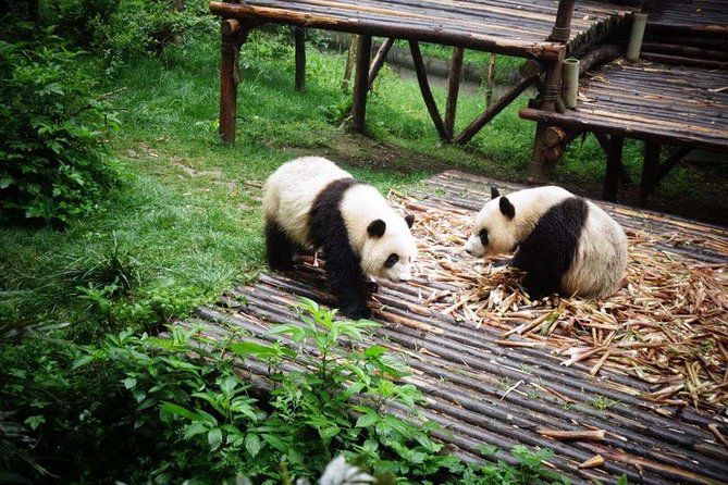 18-Day Classic China Tour: Xian-Chengdu-Zhangjiajie-Shanghai - Accommodation Details