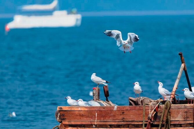 2-Day Private Tour of Qinhuangdao and Beidaihe From Tianjin - Booking Information