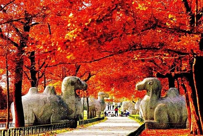 2-Day Unlimited Nanjing Private Flexible Tour With Lunch Option - Important Reminders
