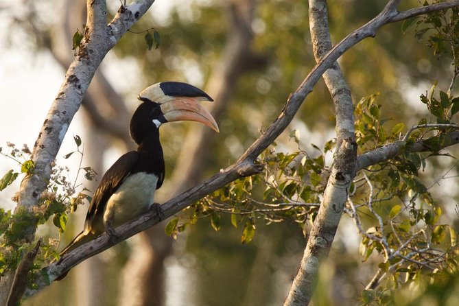 2- Days Private Tour to Anuradhapura & Wilpattu National Park From Negombo - Frequently Asked Questions