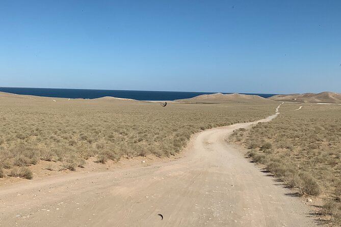 2 Days Yurt Camp From Bukhara to Samarkand Self-Guided Tour - The Sum Up