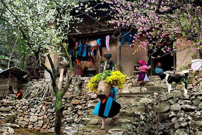 3-Day Sapa Trekking and Bac Ha Market on Sunday - Homestay Experience