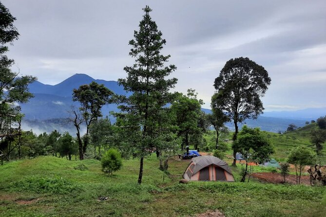 4 Day 3 Night Private Tour Dieng (Jakarta -Wonosobo) - Pickup Information