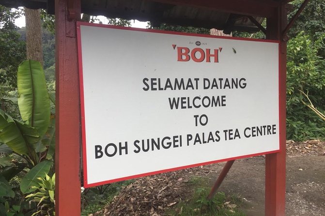 4-Day Cameron Highland and Penang Tour From Kuala Lumpur - Itinerary Highlights