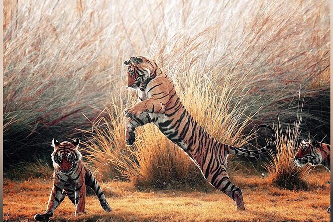 4 Days: Ranthambore Tiger Safari & Guided Jaipur Tour From Agra With Delhi Drop - Inclusions and Exclusions
