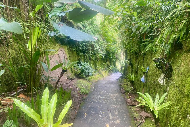 4 Easy Access Waterfalls Private Tour - Directions
