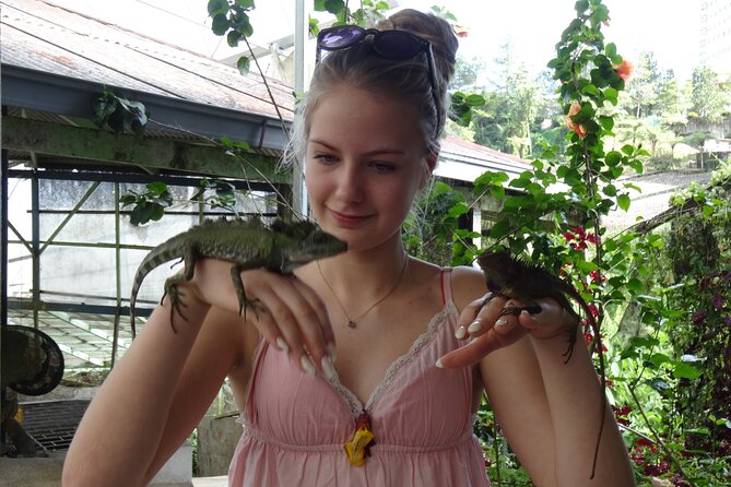 4D3N Tour Perhentian Islands - Penang Island Drop off - Accommodation Information