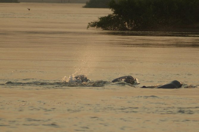 5 Days Private Guide Tour Hidden Adventure of Kratie & Mondulkiri - Pricing and Booking Information